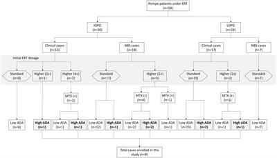 Optimizing treatment outcomes: immune tolerance induction in Pompe disease patients undergoing enzyme replacement therapy